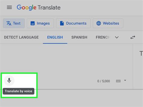 transen ge|Google Translate